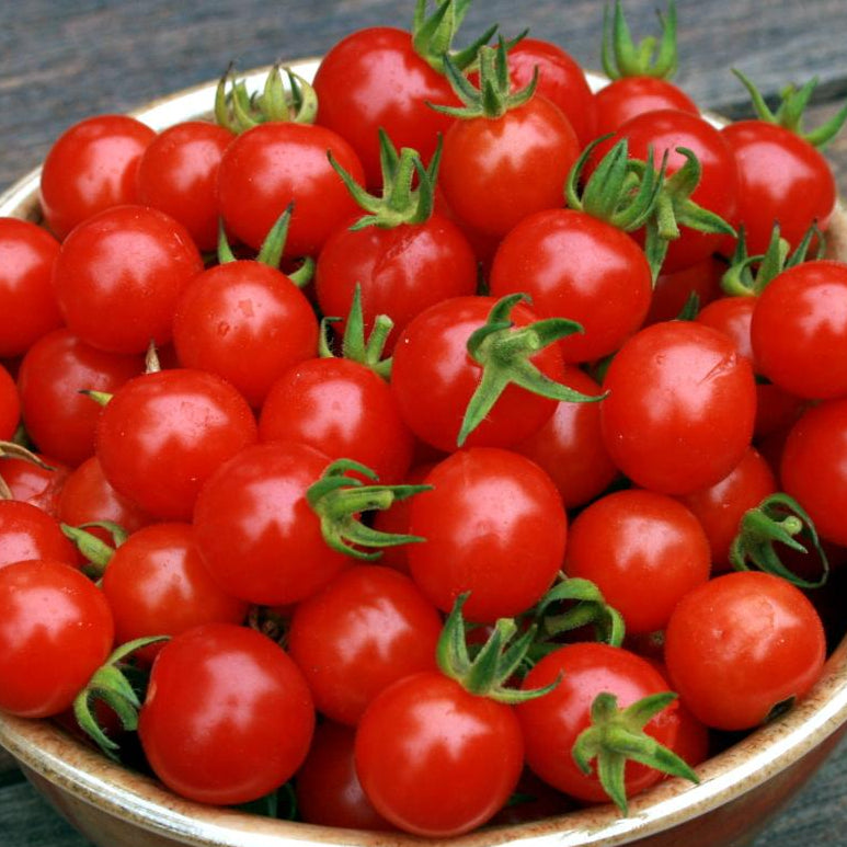 Cherry Tomato Seeds - Cherry Sweetie, ORGANIC - Sow True Seed