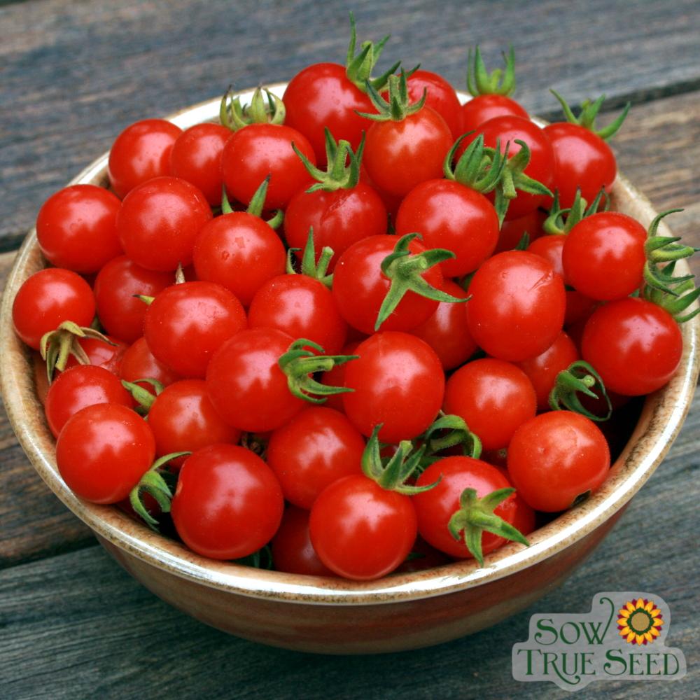 Cherry Tomato Seeds - Cherry Sweetie, ORGANIC - Sow True Seed