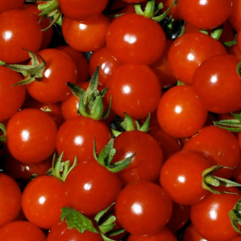 Cherry Tomato Seeds - Cherry Sweetie, ORGANIC - Sow True Seed