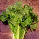 Chinese Cabbage Seeds - Michihli - Sow True Seed