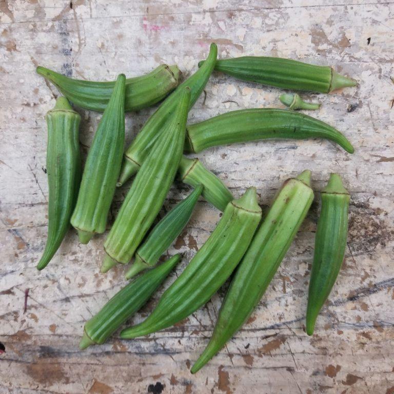 Okra Seeds- Clemson Spineless 80 - Sow True Seed