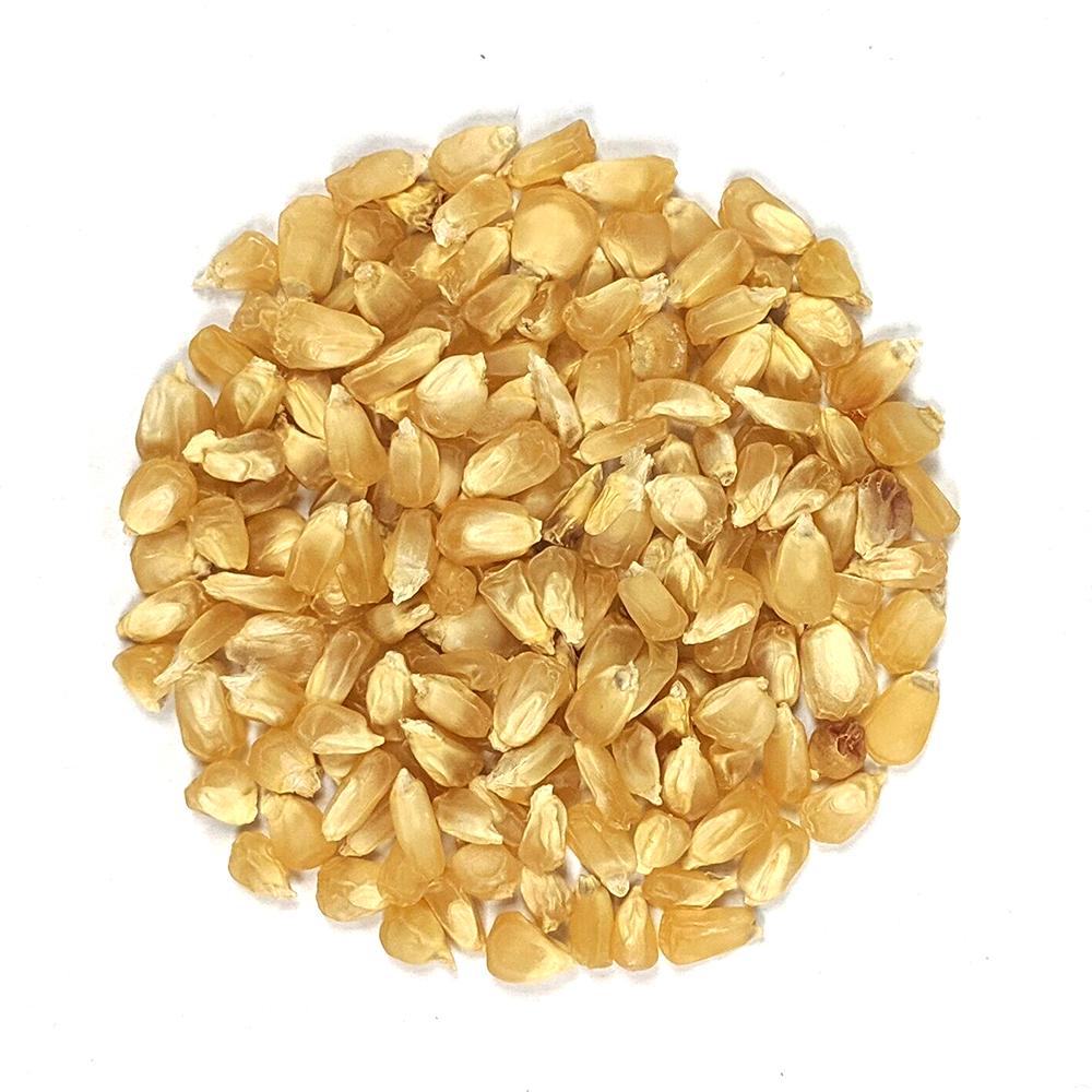 Sweet Corn - Country Gentleman - Sow True Seed