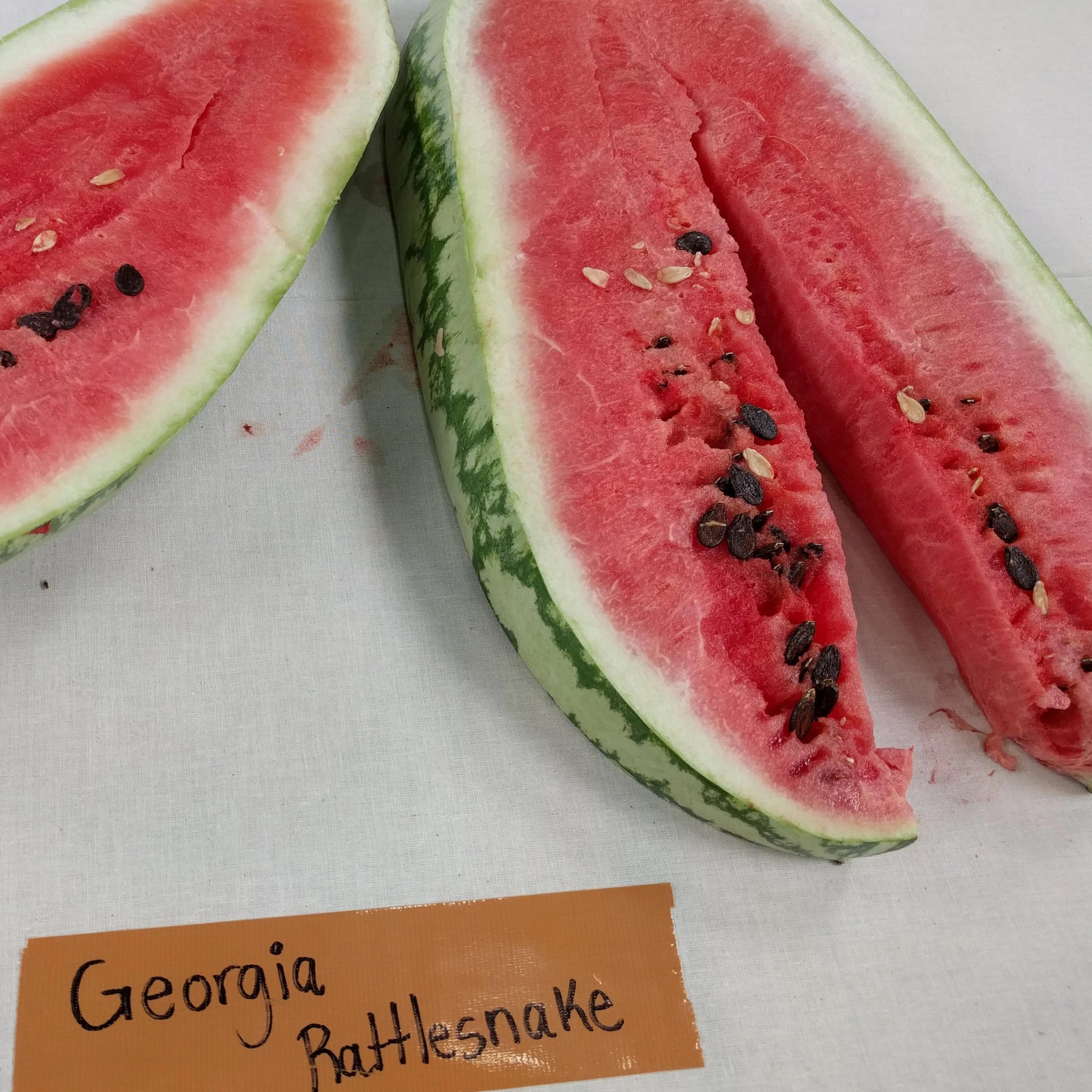 Watermelon - Georgia Rattlesnake - Sow True Seed