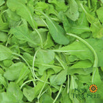 Arugula Seeds - Arugula, ORGANIC - Sow True Seed