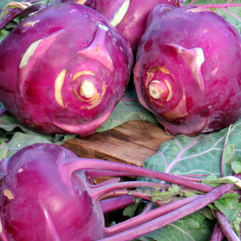 Kohlrabi Seeds - Purple Vienna - Sow True Seed