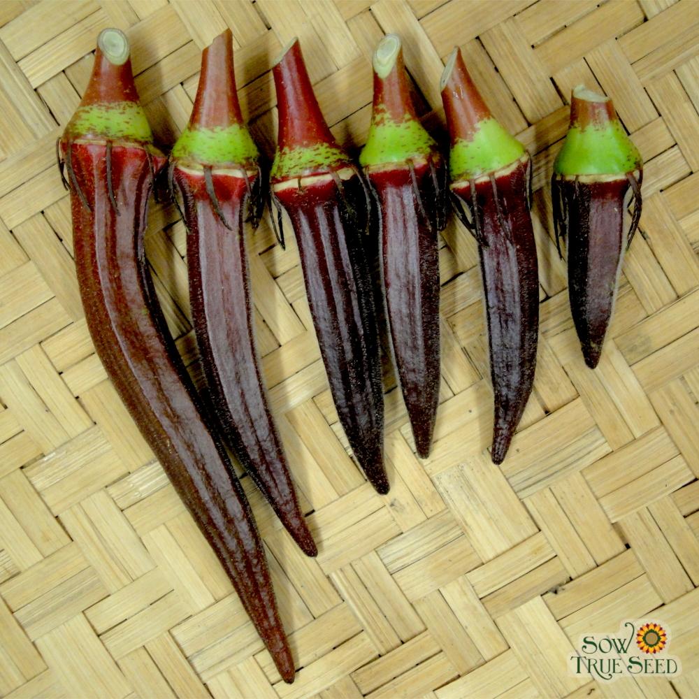 Okra Seeds - Red Burgundy - Sow True Seed