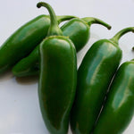 Hot Pepper - Early Jalapeño - Sow True Seed