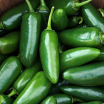 Hot Pepper - Early Jalapeño - Sow True Seed