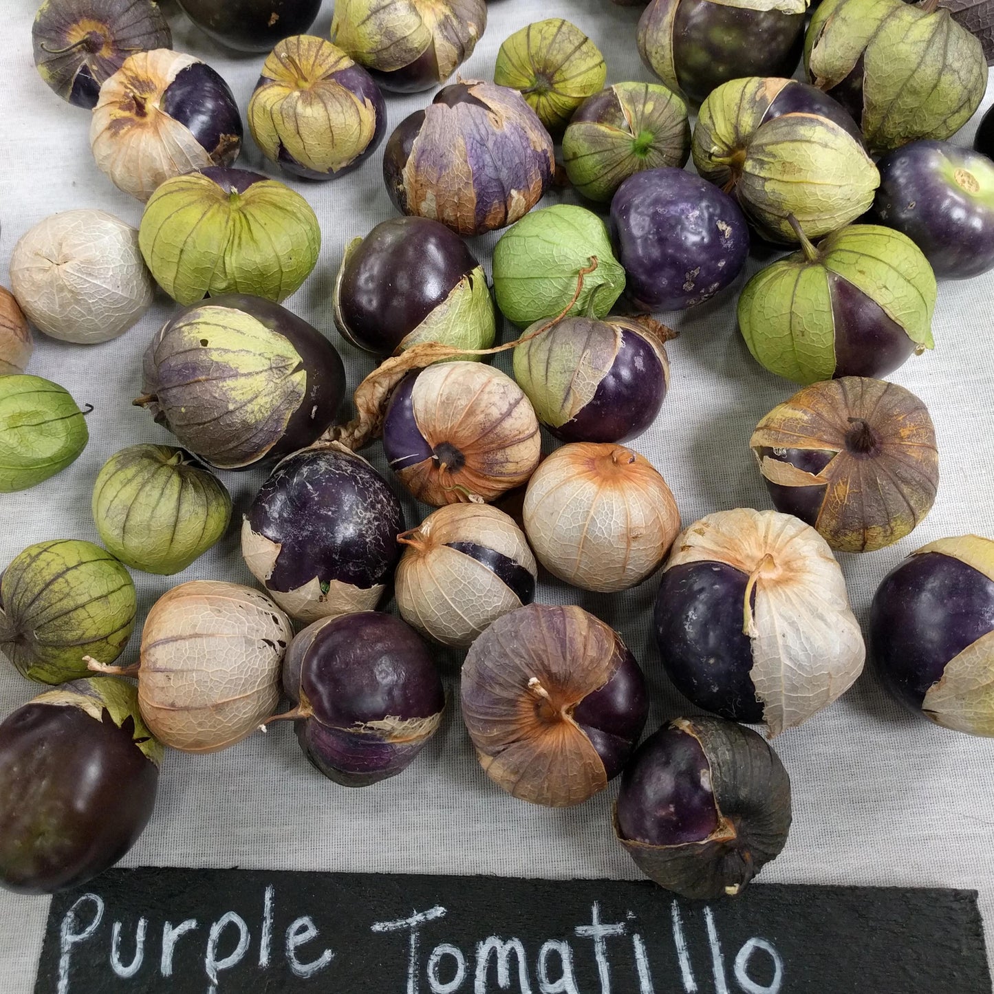 Tomatillo - Purple - Sow True Seed