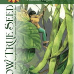 Pole Bean Seeds - Kentucky Wonder - Sow True Seed