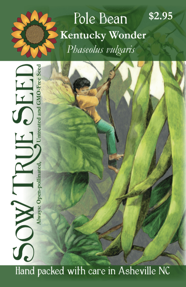 Pole Bean Seeds - Kentucky Wonder - Sow True Seed