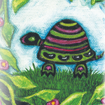 Drying Bean Seeds - Black Turtle - Sow True Seed