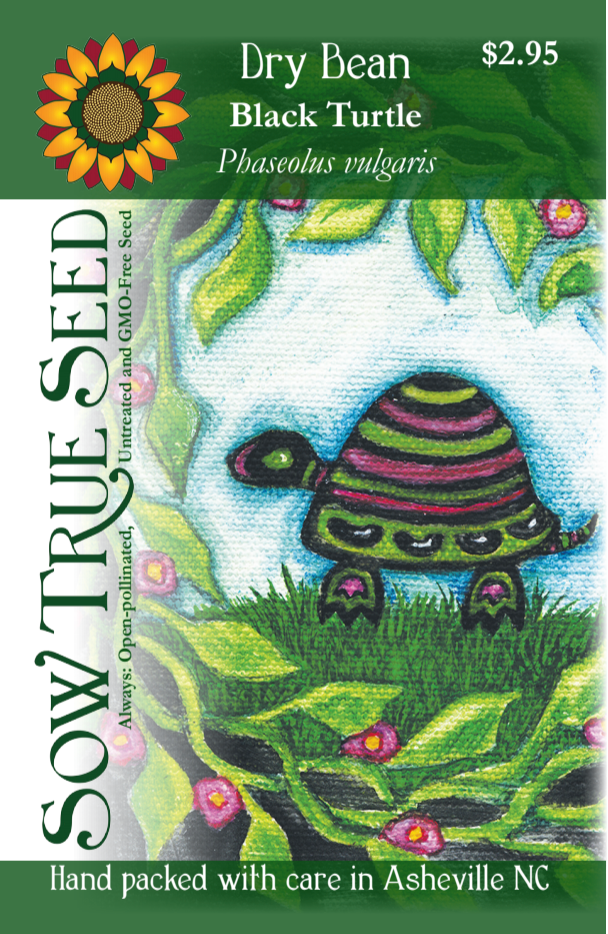 Drying Bean Seeds - Black Turtle - Sow True Seed