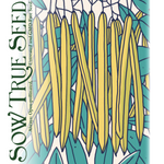 Bush Bean Seeds - Cherokee Wax - Sow True Seed