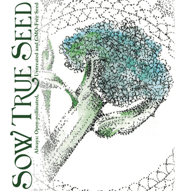 Broccoli Seeds - Waltham 29 - Sow True Seed