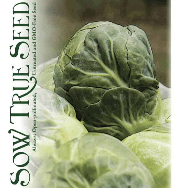 Brussels Sprouts Seeds - Long Island Improved - Sow True Seed