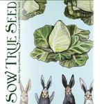 Cabbage Seeds - Early Jersey Wakefield - Sow True Seed
