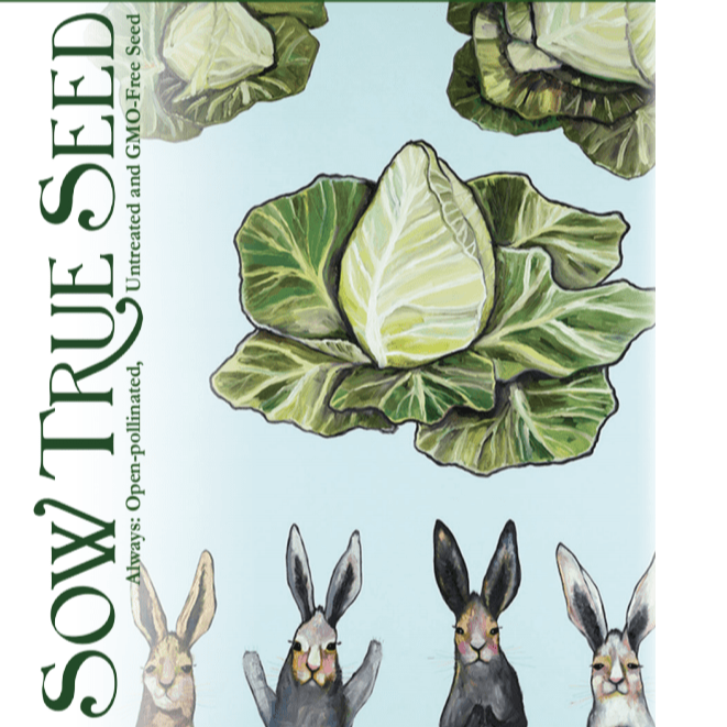 Cabbage Seeds - Early Jersey Wakefield - Sow True Seed