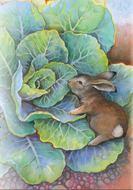 Collards seeds Southern Heirloom Sow True Seed Open