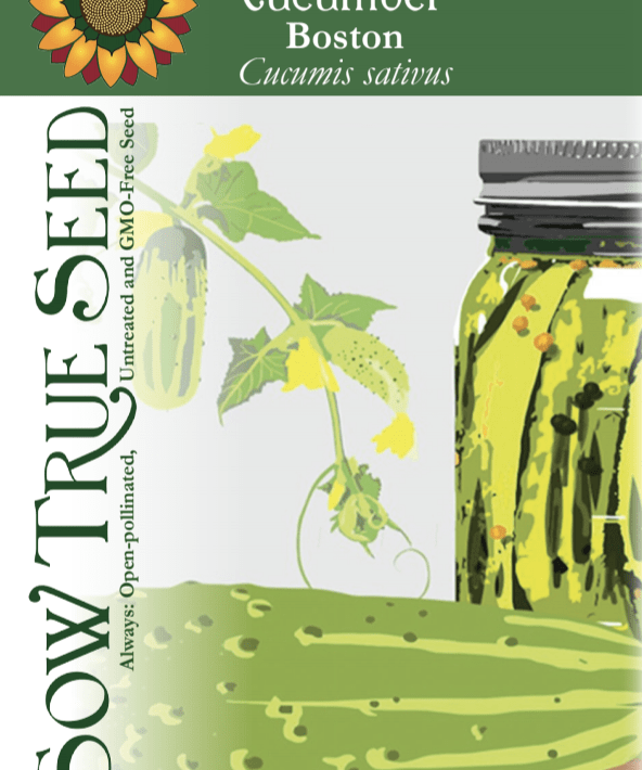 Pickling Cucumber Seeds - Boston - Sow True Seed
