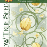 Specialty Cucumber Seeds - Lemon - Sow True Seed