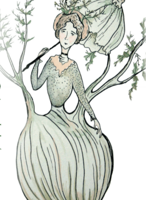 Fennel Seeds - Florence - Sow True Seed