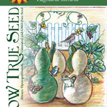 Gourd Seeds - Birdhouse Bottle - Sow True Seed