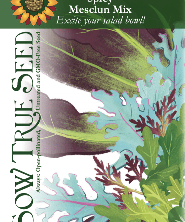 Mixed Greens Seeds - Spicy Mesclun Mix - Sow True Seed