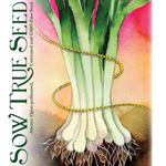 Bunching Onion Seeds - Long White Bunching - Sow True Seed