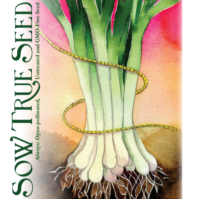 Bunching Onion Seeds - Long White Bunching - Sow True Seed