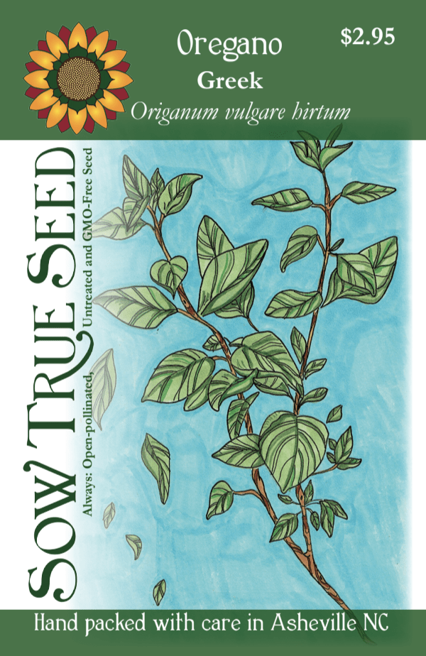 Oregano Seeds, Greek - Sow True Seed