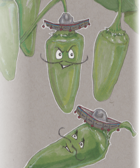 Hot Pepper Seeds - Early Jalapeño - Sow True Seed
