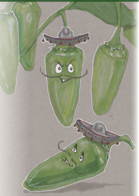 Hot Pepper Seeds - Early Jalapeño - Sow True Seed