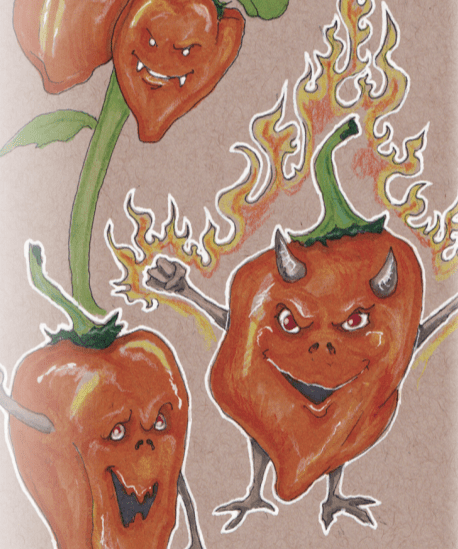 Hot Pepper Seeds - Habanero, Orange - Sow True Seed