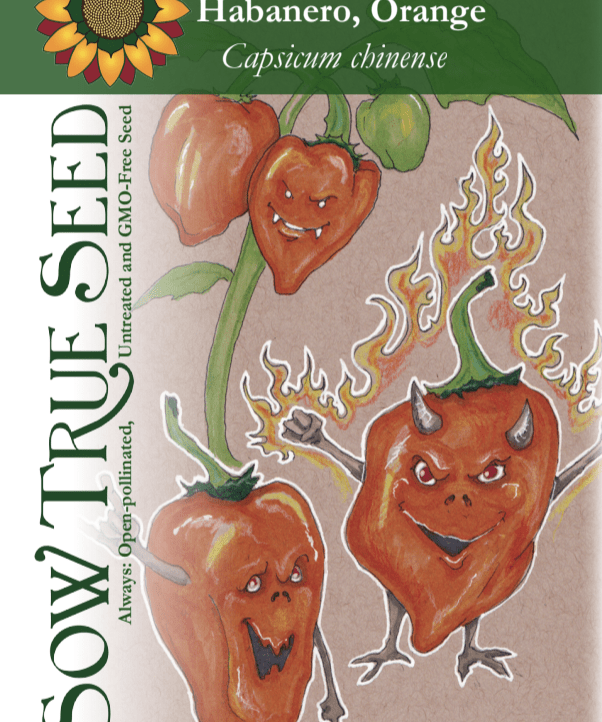 Hot Pepper Seeds - Habanero, Orange - Sow True Seed