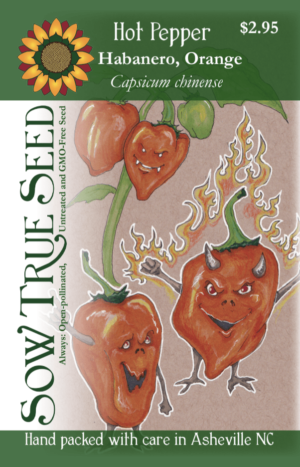 Hot Pepper Seeds - Habanero, Orange - Sow True Seed