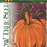 Pumpkin Seeds - Connecticut Field - Sow True Seed