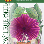 Radish Seeds - Watermelon - Sow True Seed