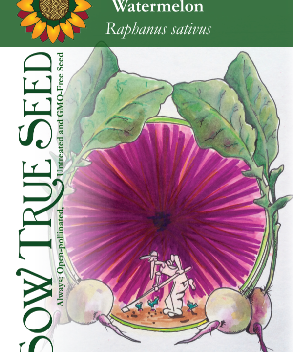 Radish Seeds - Watermelon - Sow True Seed