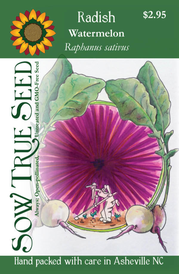 Radish Seeds - Watermelon - Sow True Seed