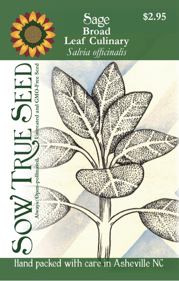 Sage Seeds, Broad Leaf Culinary - Sow True Seed