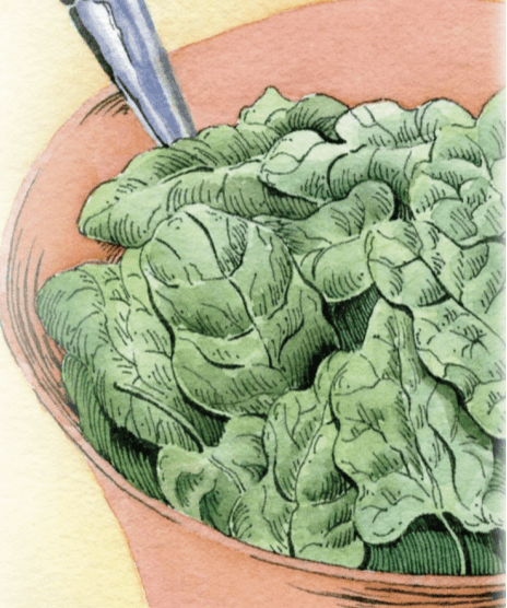 Spinach Seeds - America - Sow True Seed