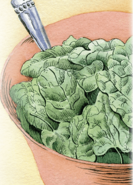 Spinach Seeds - America - Sow True Seed