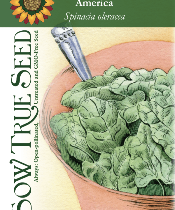Spinach Seeds - America - Sow True Seed