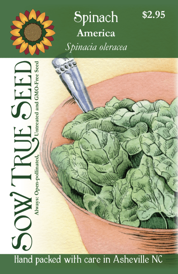 Spinach Seeds - America - Sow True Seed
