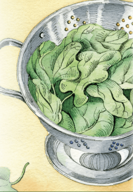 Spinach Seeds - Bloomsdale Long Standing - Sow True Seed