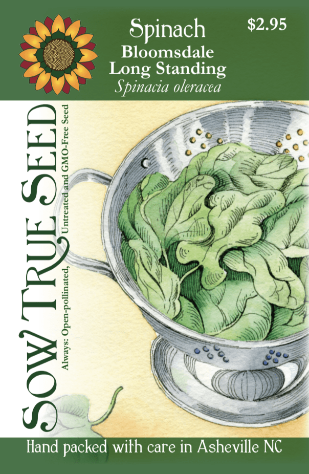 Spinach Seeds - Bloomsdale Long Standing - Sow True Seed