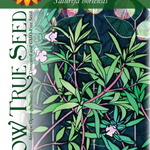Summer Savory Seeds - Sow True Seed