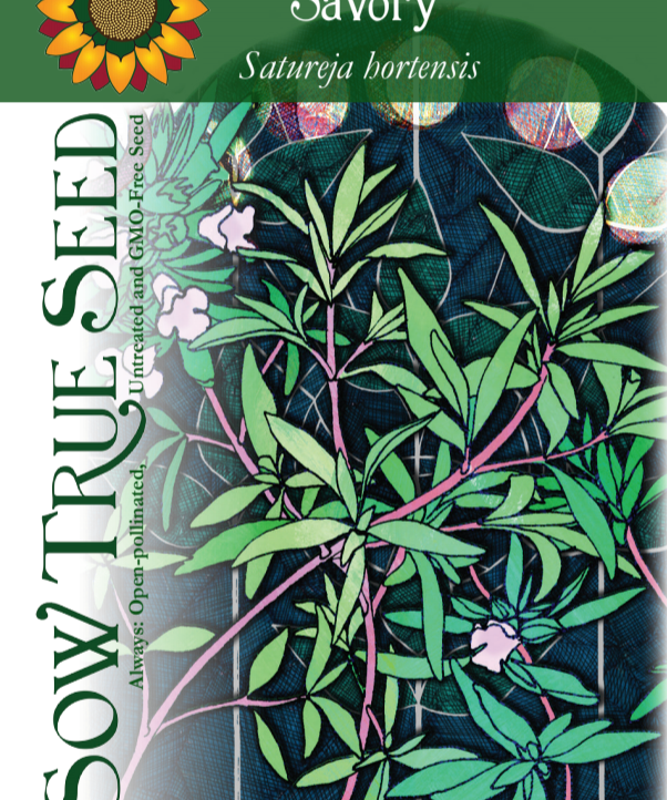 Summer Savory Seeds - Sow True Seed