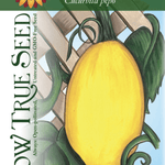 Winter Squash Seeds - Vegetable Spaghetti - Sow True Seed